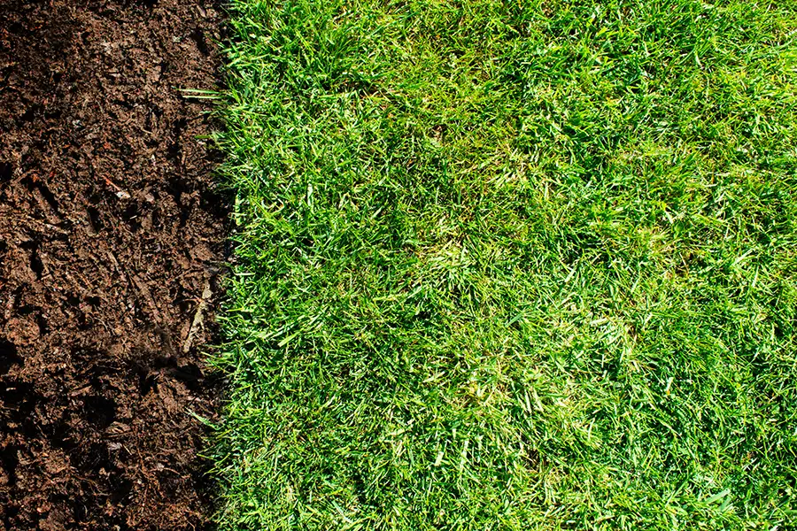 Side-by-side comparison showing bare, compacted brown soil next to a healthy, lush green lawn.