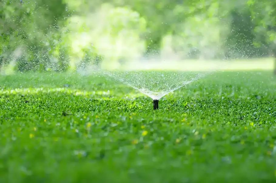 A black pop-up irrigation sprinkler head spraying a fine mist of water across a lush green lawn.