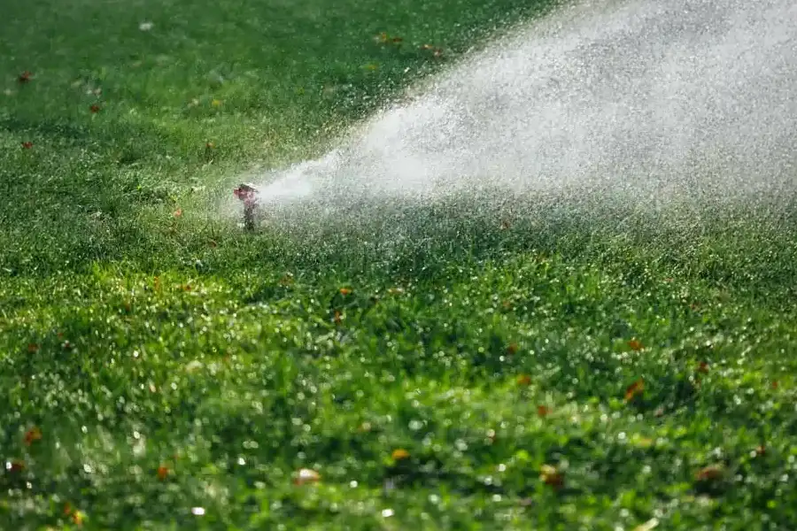 Close-up of an active sprinkler emitting a wide, heavy spray of water to hydrate a bright green lawn.