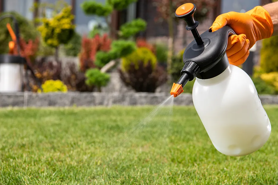A person wearing orange protective gloves using a handheld white pump sprayer to apply liquid insecticide to a residential lawn.