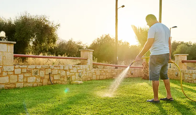 A homeowner using a yellow garden hose to manually water his green lawn during a bright, sunny golden hour.