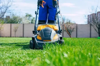 A yellow lawn mower being pushed over a lush Florida lawn. Mowing grass regularly is an important part of winterization services.