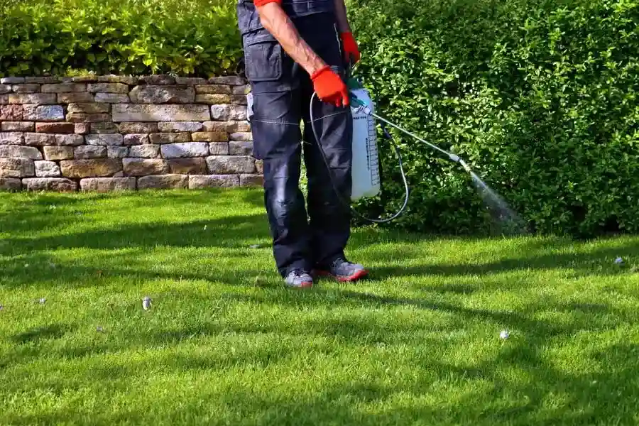A lawn care professional in dark work pants and red gloves using a wand sprayer to apply liquid weed killer across a green yard.
