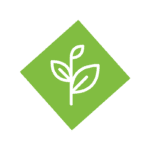 Broad leaf weed icon