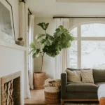 Freshly cleaned living room space interior of a Florida home, still vulnerable to pests.
