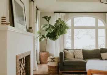 Freshly cleaned living room space interior of a Florida home, still vulnerable to pests.