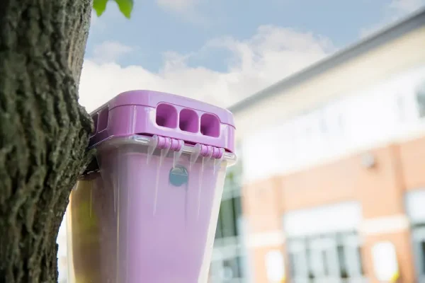 A closeup of an EcoCatch Flies box hanging from a Florida tree. Call today to get a fly control quote before pests threaten your health score or customer experience.