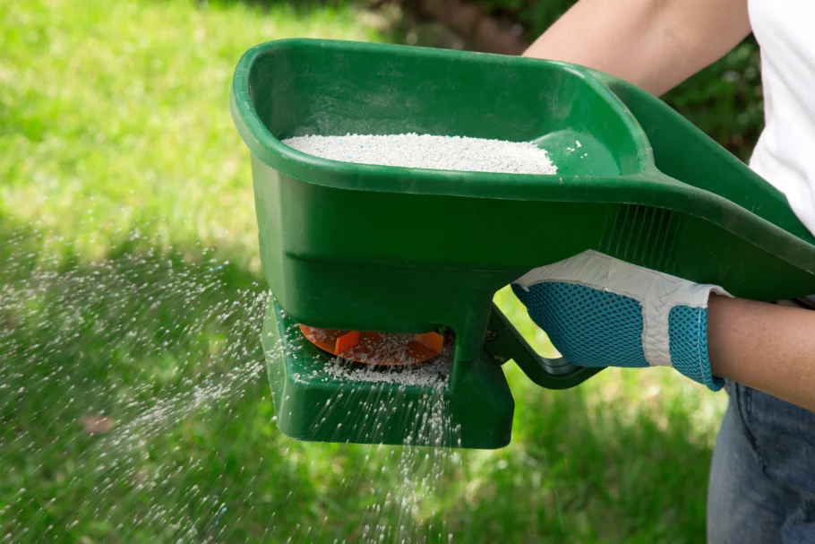 Closeup of a Florida homeowner using a lawn fertilization tool, dispersing fertilizer