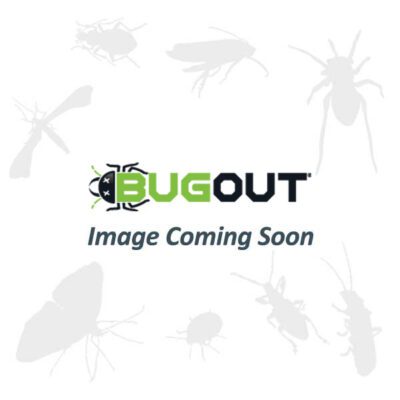 Placeholder graphic with illustrated pests