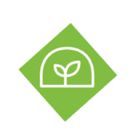 Lawn disease protection graphic