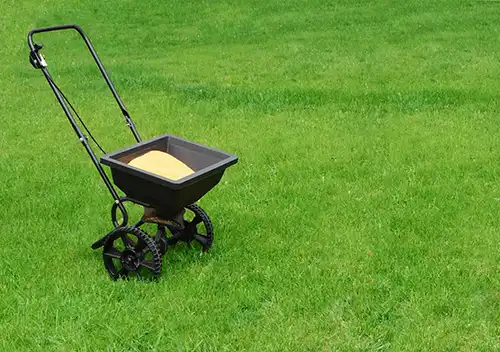 What Type Of Fertilizer Should I Use For My Lawn in Jacksonville FL