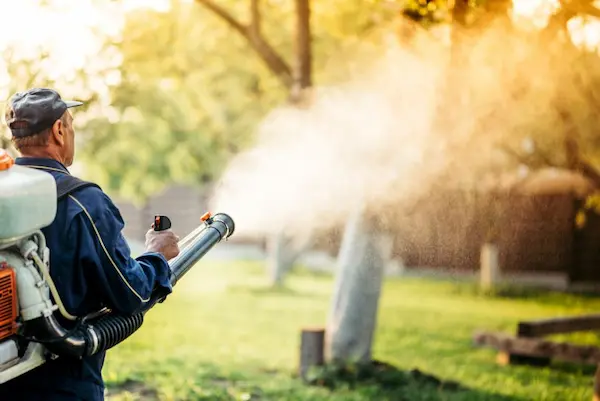 Exterminator spraying pesticides in treetops