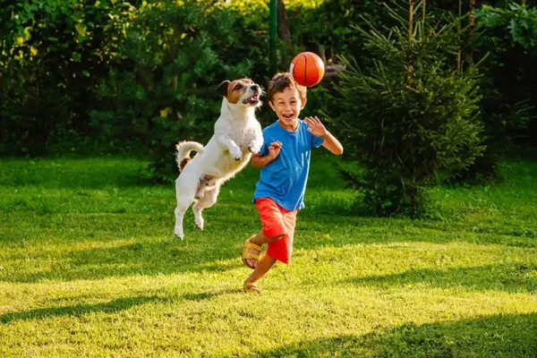 Kid with dog playing in a field with a basketball