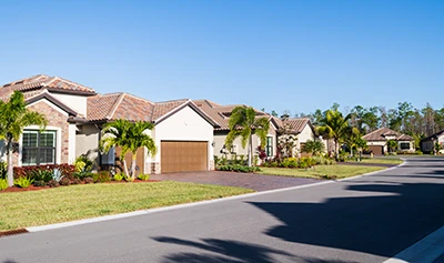 Pest Control for New Homeowners in your area