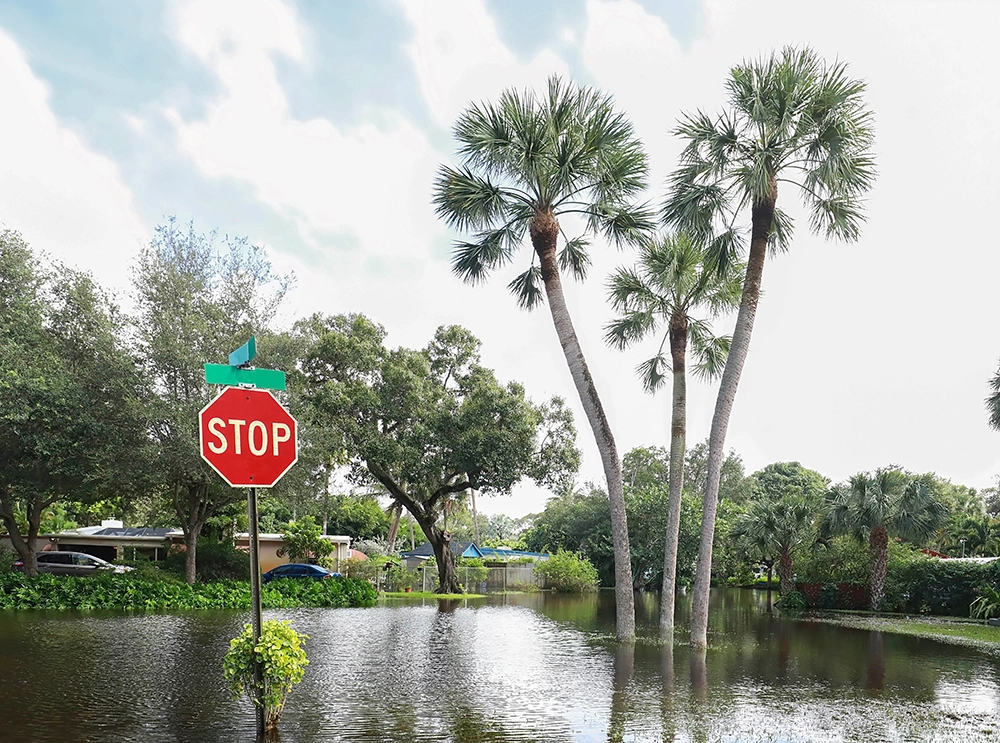 A residential street with palm trees and a stop sign submerged in floodwater.