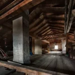 Attic potentially harboring pests