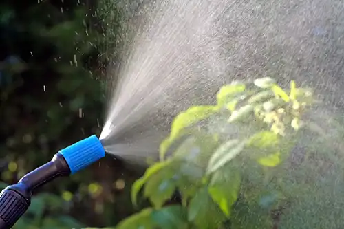 How Should I Apply Insecticide To My Lawn in Jacksonville FL