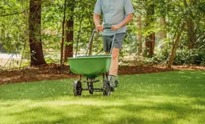 Person fertilizing their lawn